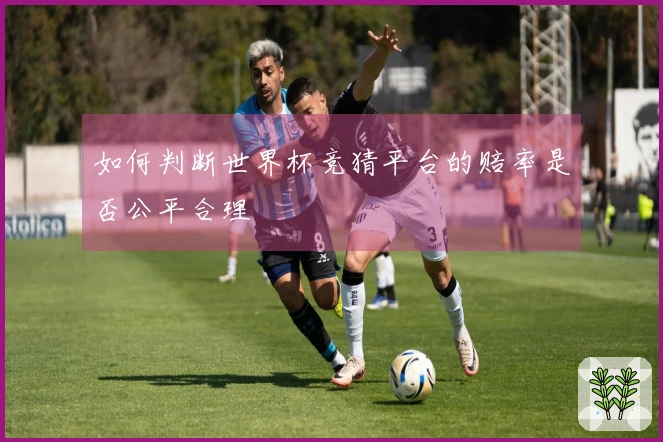 如何判断世界杯竞猜平台的赔率是否公平合理