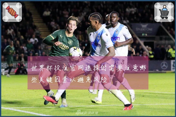 世界杯投注官网选择时需要注意哪些关键因素以避免风险