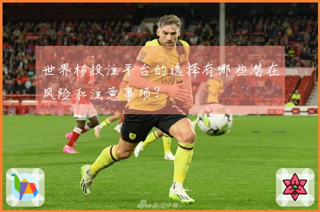 世界杯投注平台的选择有哪些潜在风险和注意事项？