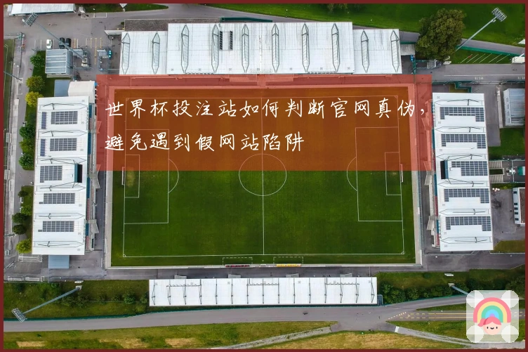 世界杯投注站如何判断官网真伪，避免遇到假网站陷阱